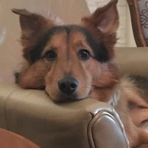 Meet your Posher, Pamela